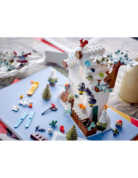 VIP Accessories - Winter Fun - LEGO 40610