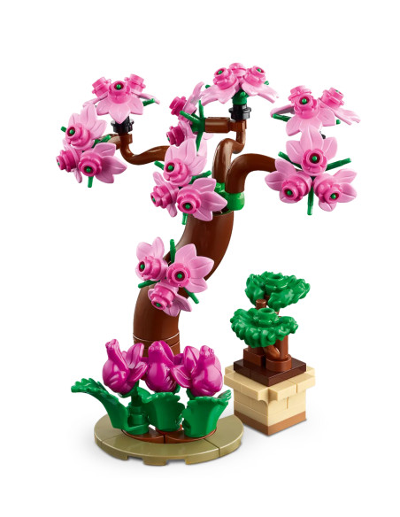 Botanical Garden - Friends 41757