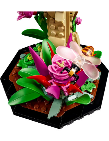 Insect Collection - Ideas 21342