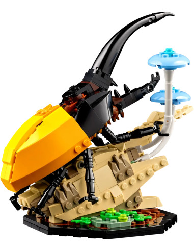 Insect Collection - Ideas 21342