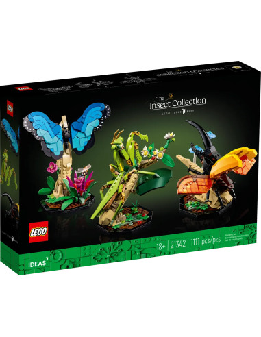 Insect Collection - Ideas 21342
