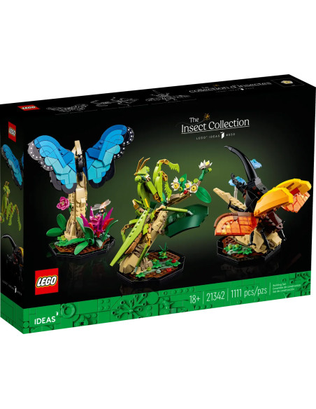 Insect Collection - Ideas 21342