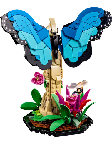 Insect Collection - Ideas 21342