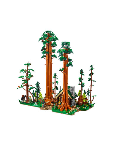 Redwood Trail - BrickLink LEGO 910058