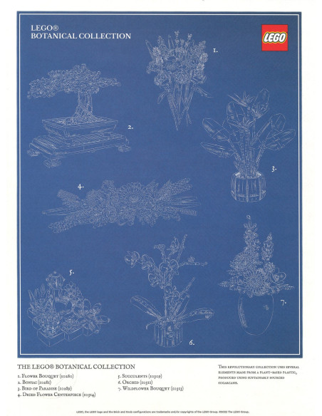 Plakat ® kolekcja botaniczna - 5007797