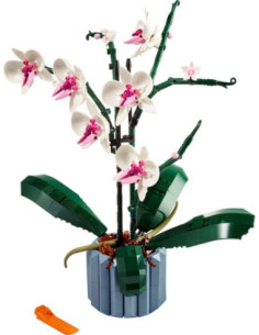 Orchidee - LEGO 10311 2