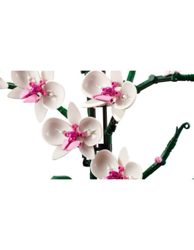 Orchidea - LEGO 10311