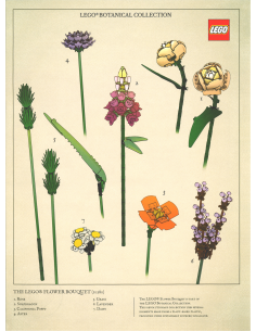 Poster LEGO ® bouquet - LEGO 5007798